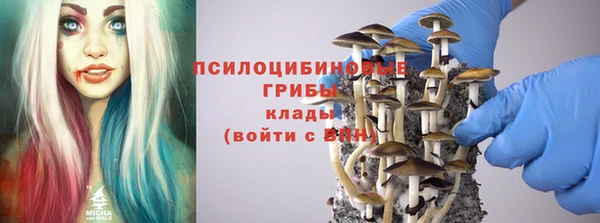 шишки Алексеевка