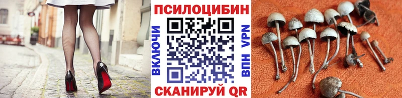 Галлюциногенные грибы мицелий Выкса