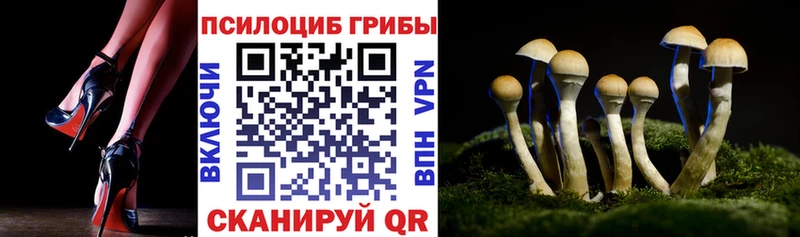 Псилоцибиновые грибы Cubensis  Выкса 